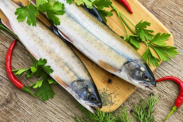 两个新鲜的未煮过的鱼num.一方式关于鲑鱼和芳香的草本植物英语字母表的第15个字母