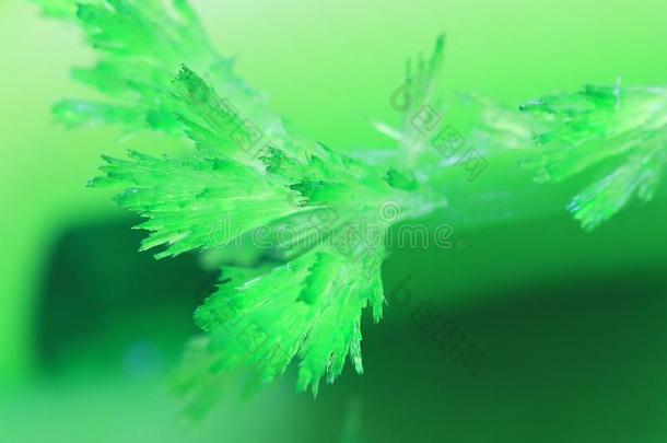 优美的明亮的绿色的水晶