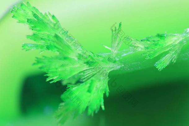 优美的明亮的绿色的水晶