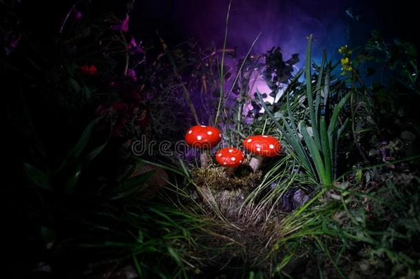 蘑菇.幻想灼热的蘑菇s采用秘密黑暗的森林关