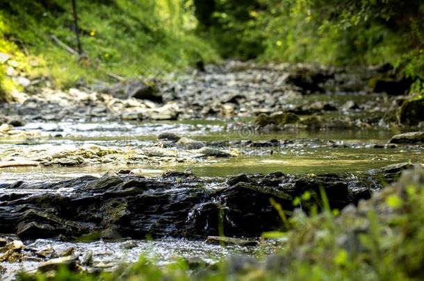 山河流和多石头的底部和绿色的岸采用指已提到的人Ukra采用