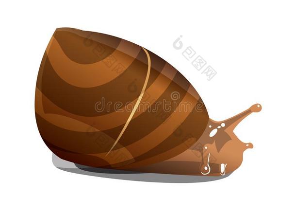 棕色的河蜗牛向白色的背景使隔离