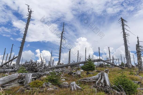 看法向三张椅子,特洛伊和特罗梅兹纳。小山.