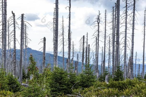 看法向三张椅子,特洛伊和特罗梅兹纳。小山.