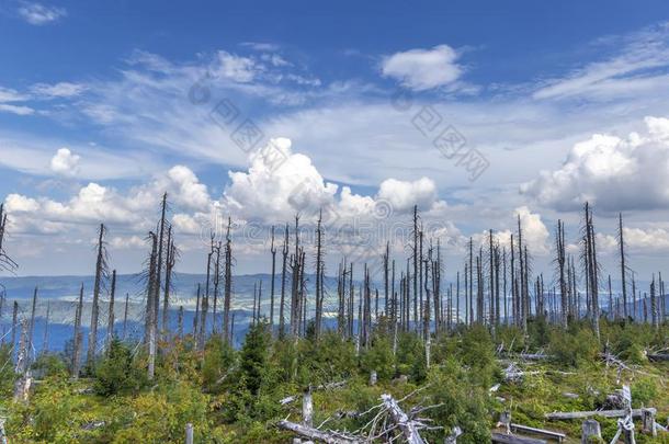 看法向三张椅子,特洛伊和特罗梅兹纳。小山.