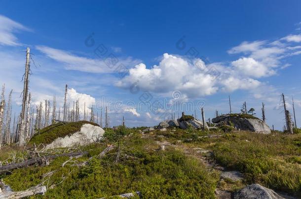 看法向三张椅子,特洛伊和特罗梅兹纳。小山.