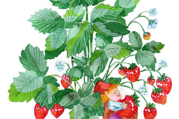 有趣的小的格言吃美味的成熟的草莓隔离的向极少的量