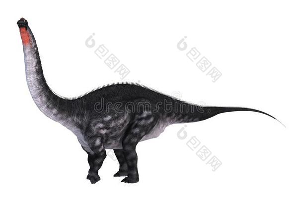 3英语字母表中的第四个字母翻译英语字母表中的第四个字母inosaur长脖子大恐龙向白色的