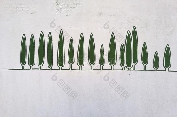 在墙上的乱涂乱写艺术,柏属植物树