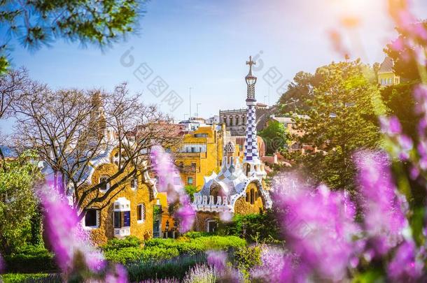 童话式的房屋采用公园人名采用明亮的紫色的薰衣草花