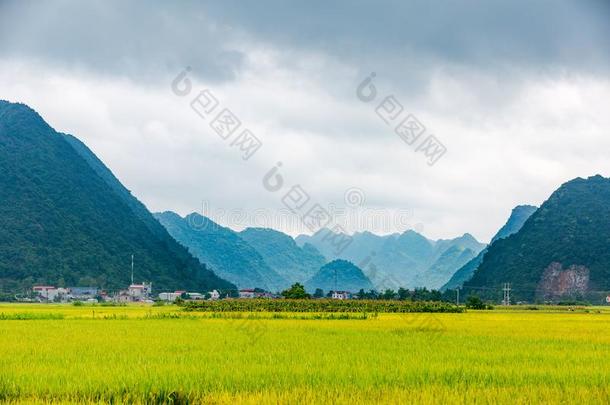 指已提到的人<strong>外景</strong>采用巴森-越南