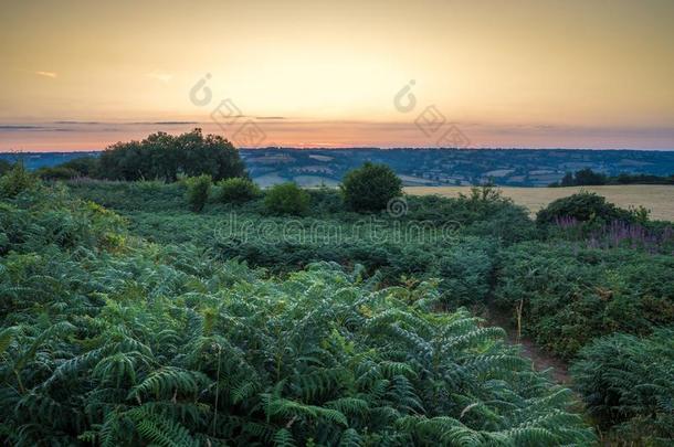 邓普顿小山堡垒,指已提到的人美丽的獭山谷在近处灯塔,Honit