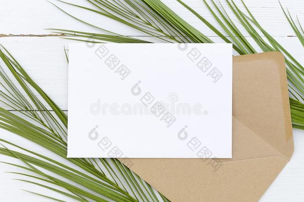 最小的作品白色的空白的卡片和信封向手掌树叶