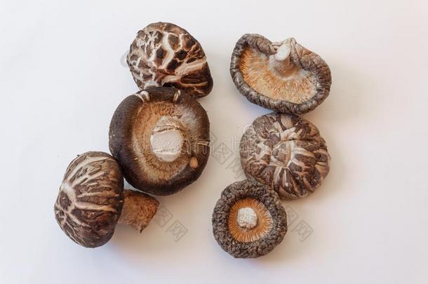 六干燥的香菇蘑菇采用各种各样的大小,隔离的向白色的