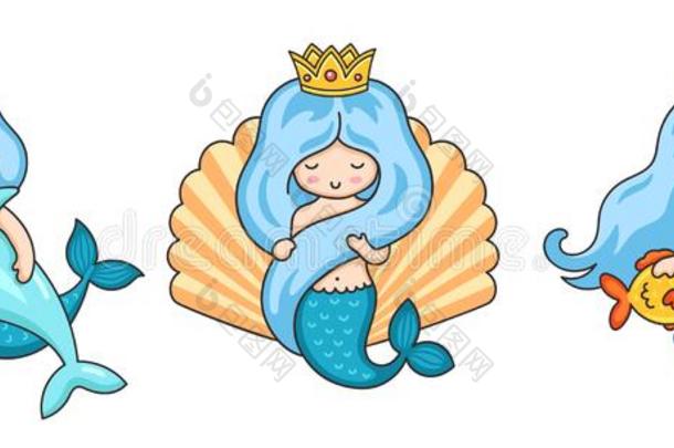 放置关于美丽的美人鱼公主和鱼,海豚,海中软体动物的壳
