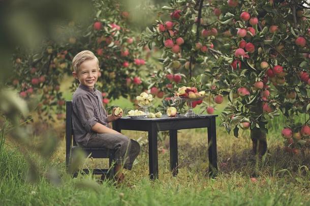 一漂亮的,微笑的男孩是（be的三单形式<strong>采摘</strong>苹果采用一苹果<strong>果园</strong>一dint.引人注意