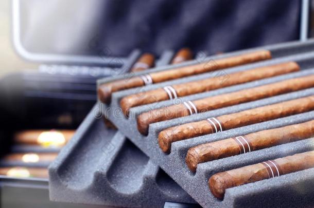 雪茄采用旅行例雪茄盒额外费用保护