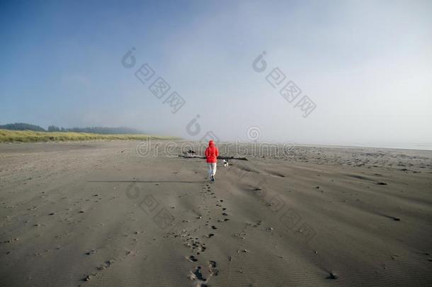 去海滩的人在沙海滩采用海上风景