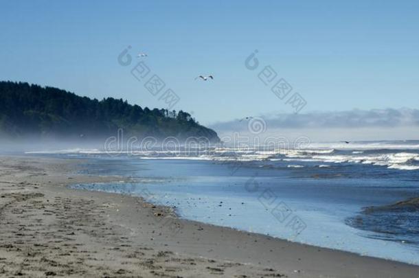 海滩在之间北方上端灯塔和海上风景海滩接近