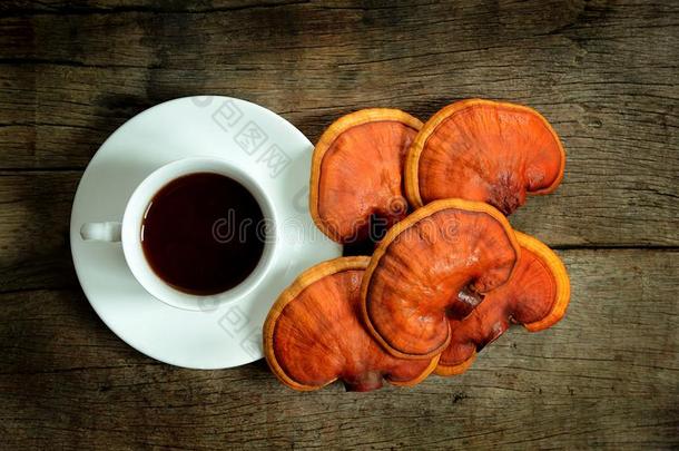 杯子关于瑞希茶水和新鲜的林芝蘑菇.