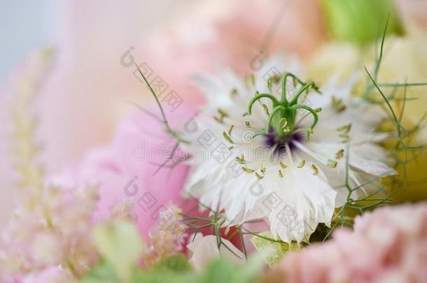 花背景.美丽的春季花束.颜色光粉红色的.英语字母表的第20个字母