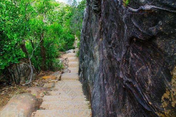 石头楼梯级别步行指已提到的人跟踪,走私犯小路和指已提到的人Namibia纳米比亚