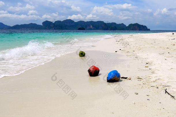 有色的椰子向指已提到的人海滩,面向<strong>优先</strong>级的按需分配岛,岛面向<strong>优先</strong>级的按需分配,甲米,thaumatin竹芋蛋白