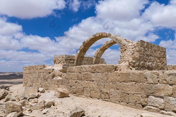 遗骨关于指已提到的人古罗马的别墅采用指已提到的人纳巴坦城市关于阿伏达特,位于