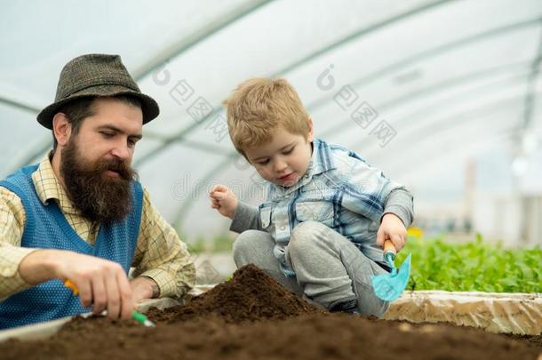 植物的工人.植物的工人小孩和父亲采用温室.