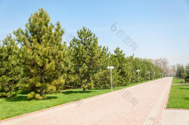 哈萨克斯坦,早的春季.公园关于指已提到的人第一校长关于指已提到的人civilianobserverunit文官观察设备