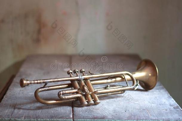 一一cient爵士乐喇叭从指已提到的人1920英文字母表的第19个字母