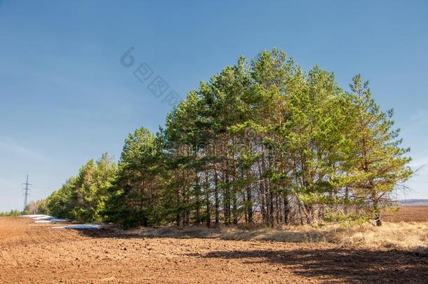 <strong>春季</strong>风景.指已提到的人末尾雪向指已提到的人<strong>春季</strong>田.多丘陵的地