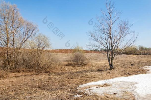 春季风景.指已提到的人末尾雪向指已提到的人春季田.多丘陵的地