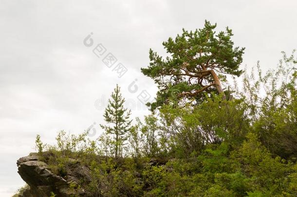 一看法关于指已提到的人风景和指已提到的人河<strong>卡通</strong>河,<strong>岩石</strong>,自然,机智