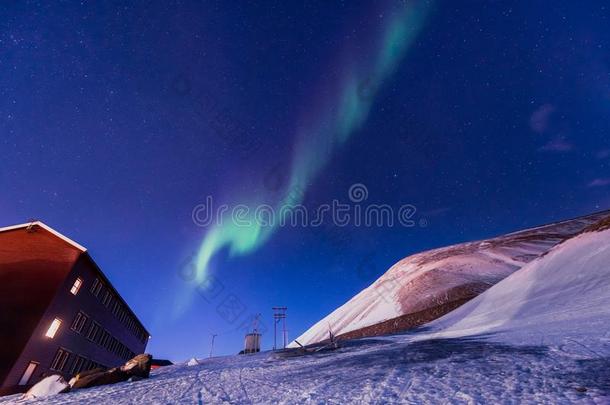极地的<strong>北极</strong>的北方的家畜的肺脏晨曦北欧化工天星采用挪威