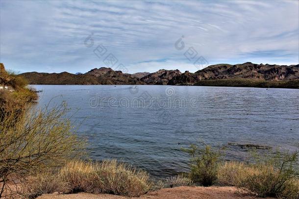 仙人掌的一种湖蓄水池,马里科帕县,亚利桑那州,统一的国家