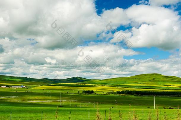 指已提到的人绿色的草原和美丽的云景