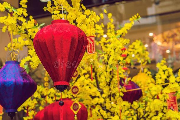 黄色的花采用尊敬关于指已提到的人越南人新的年.月的新的Yemen也门