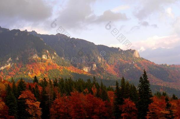 Zaganu顶点形状古卡斯喀尔巴阡山脉的山采用指已提到的人秋