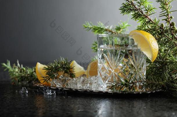杜松子酒,滋补品和部分关于柠檬和一小树枝关于刺柏属丛木或树木.