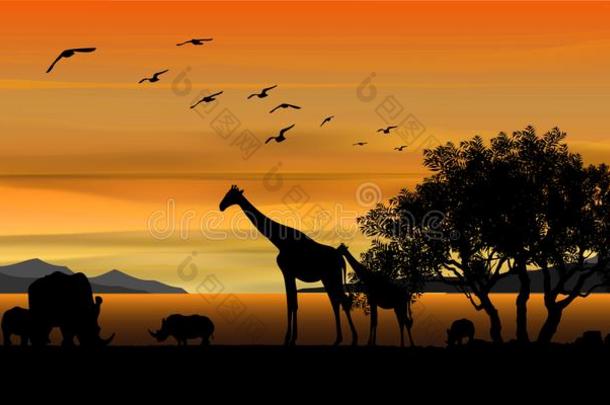 非洲的野生的鸟兽等,矢量说明非洲的风景.