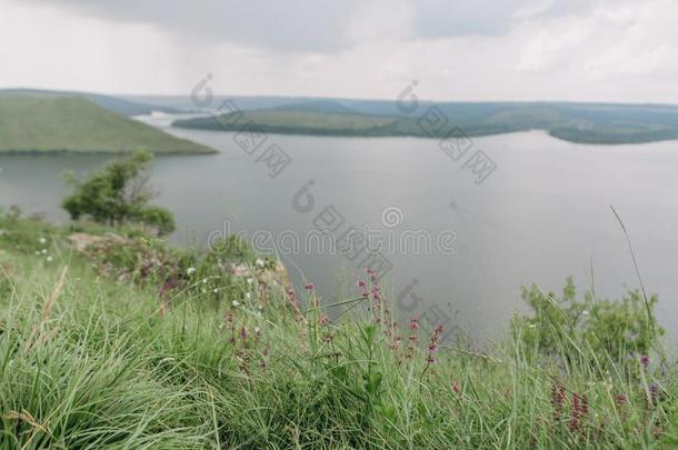 风景<strong>蜿蜒</strong>的<strong>河流</strong>频道岩石峡谷绿色的植物