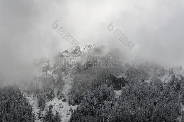 有雾的冬山.山side大量的在旁边雪和树.