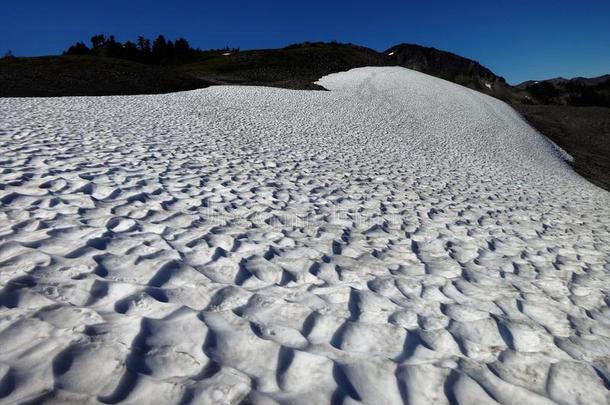 指已提到的人热关于指已提到的人夏太阳收缩一雪原