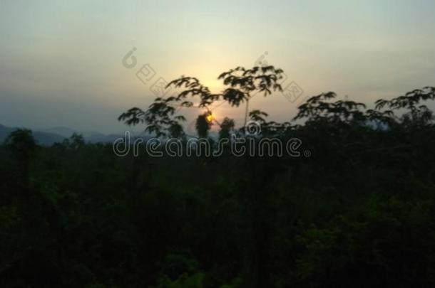 日落山树风景美丽的