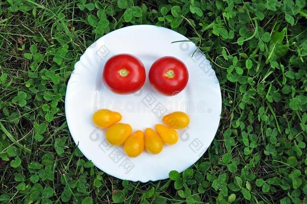 欢乐的微笑的从新鲜的番茄向一白色的pl一te.