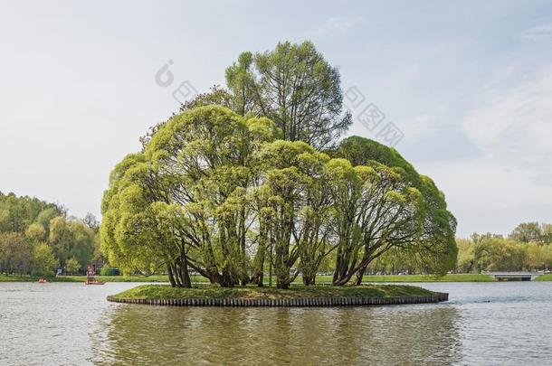 大大地察里辛池塘向指已提到的人财产察里辛o.Sou指已提到的人rn地区