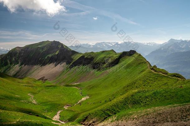 美丽的徒步旅行小路一起一mount一in在的时候和煦的：照到阳光的夏d一y,