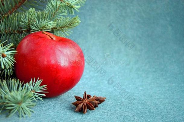 红色的苹果和星茴芹和冷杉向丝绒背景.