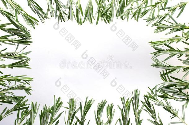 框架关于新鲜的花园<strong>迷迭香</strong>草本植物..隔离的向白色的